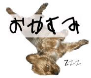 842827296