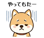 842827516