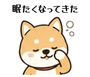 842827533