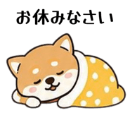 842827535
