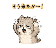 842827823