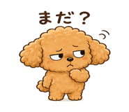 842827995