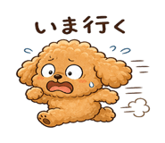 842827996