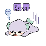 842828063