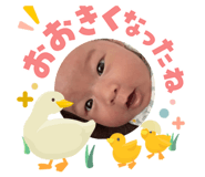 842828076