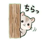842828368