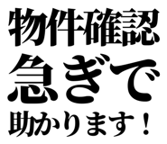 842828675