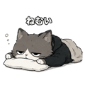 842829002