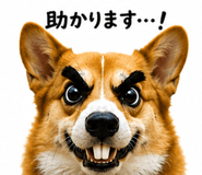 842829782
