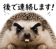 842829805