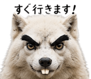 842829806