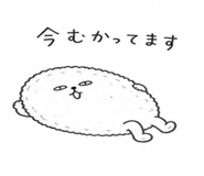 842832132