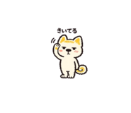 842832514