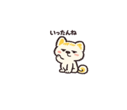842832755