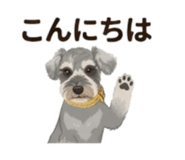 842833049