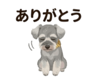 842833050