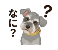 842833065