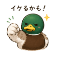 842833206