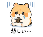 842833245