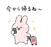 842833373