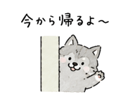 842833394