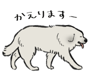 842833571