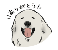842833580