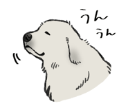 842833582