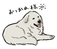 842833585
