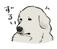 842833587