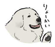 842833590
