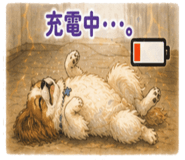 842834008