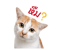 842835116
