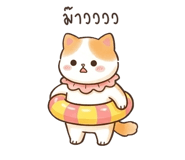 842835343