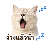 842836338