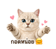 842836344