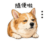 842837829