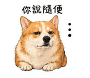 842837839