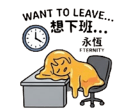 842838142