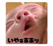 842839269