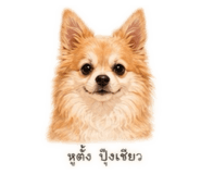 842839493