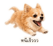 842839505