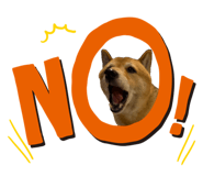 842839564