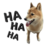 842839565