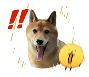 842839568