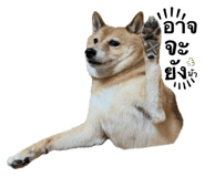 842839572