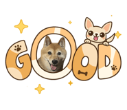 842839582