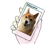 842839583