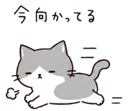 842839826