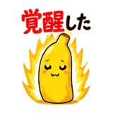 842840070